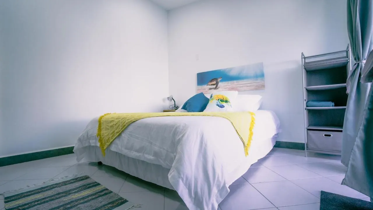 Sea Turtle House Villa Palm Beach