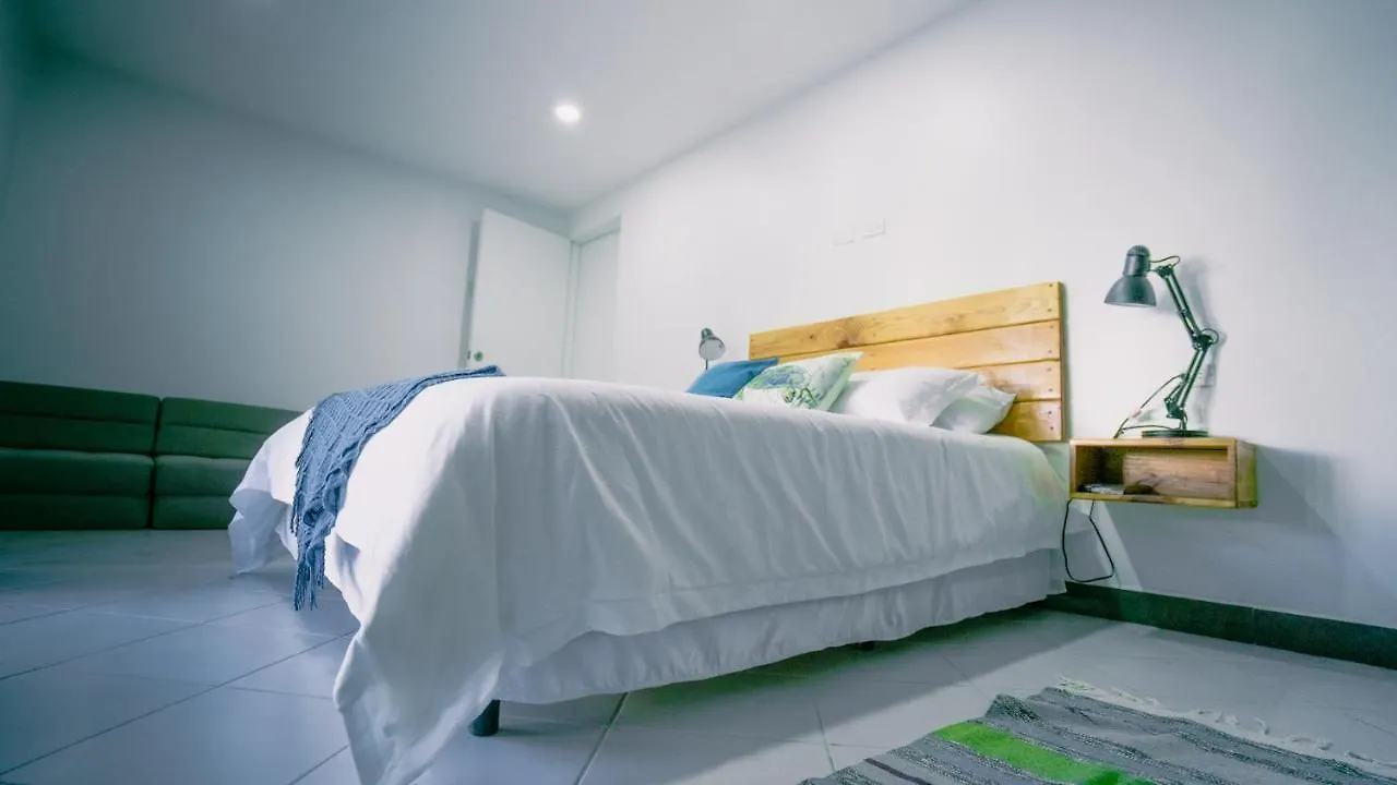别墅 棕榈滩Sea Turtle House别墅