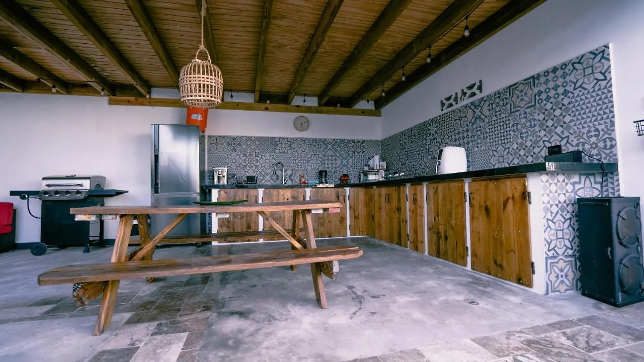 别墅 棕榈滩Sea Turtle House别墅